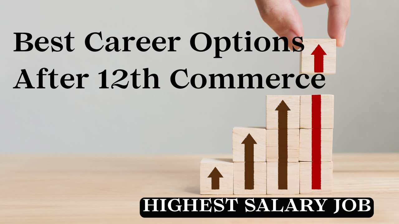 Career Options After 12th Commerce